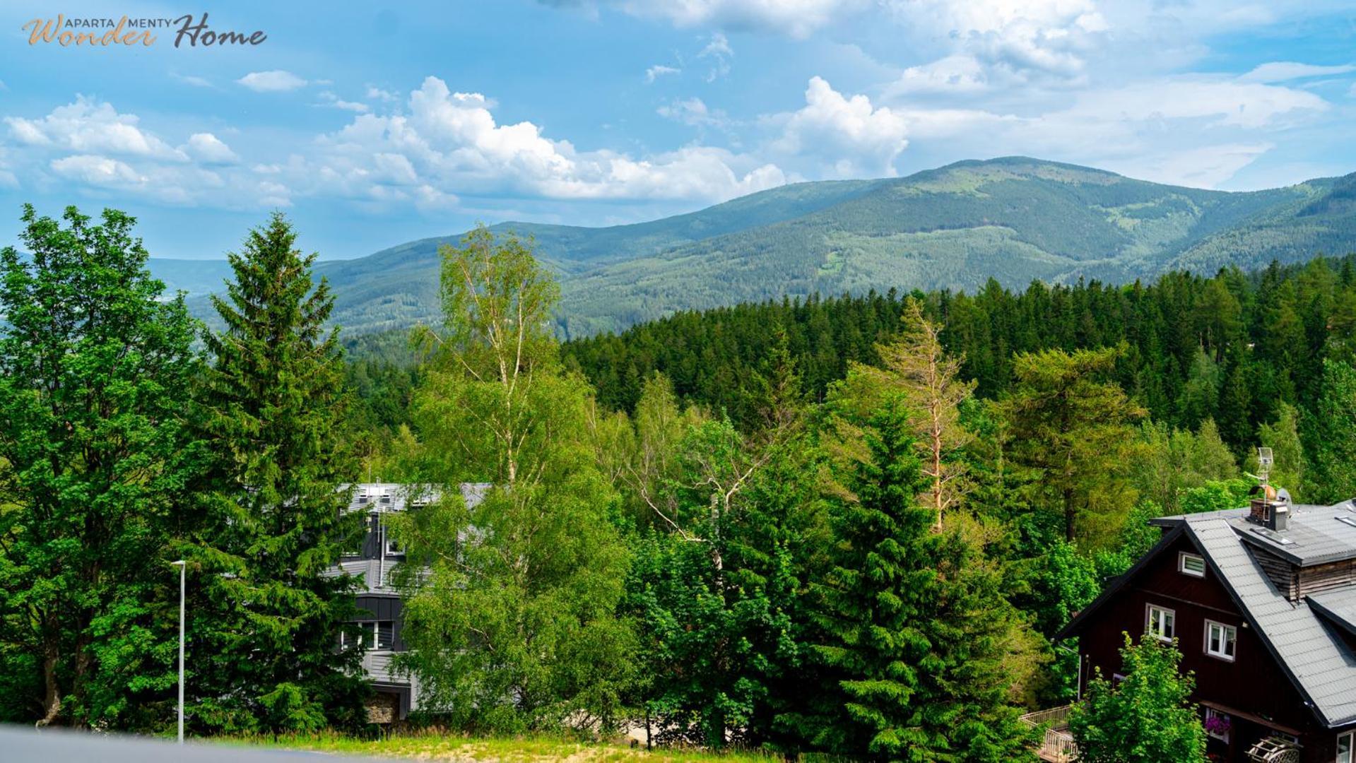 Wonder Home - Orlik Residence - Apartamenty Z Widokiem Na Sniezke, Blisko Wyciagow, Ski Arena I Kosciolka Wang カルパッチ エクステリア 写真