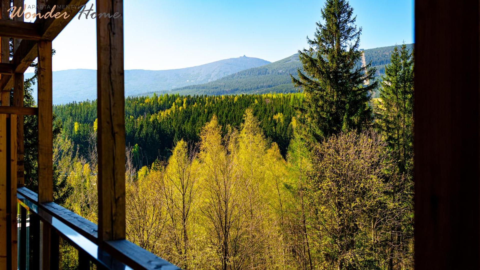 Wonder Home - Orlik Residence - Apartamenty Z Widokiem Na Sniezke, Blisko Wyciagow, Ski Arena I Kosciolka Wang カルパッチ エクステリア 写真